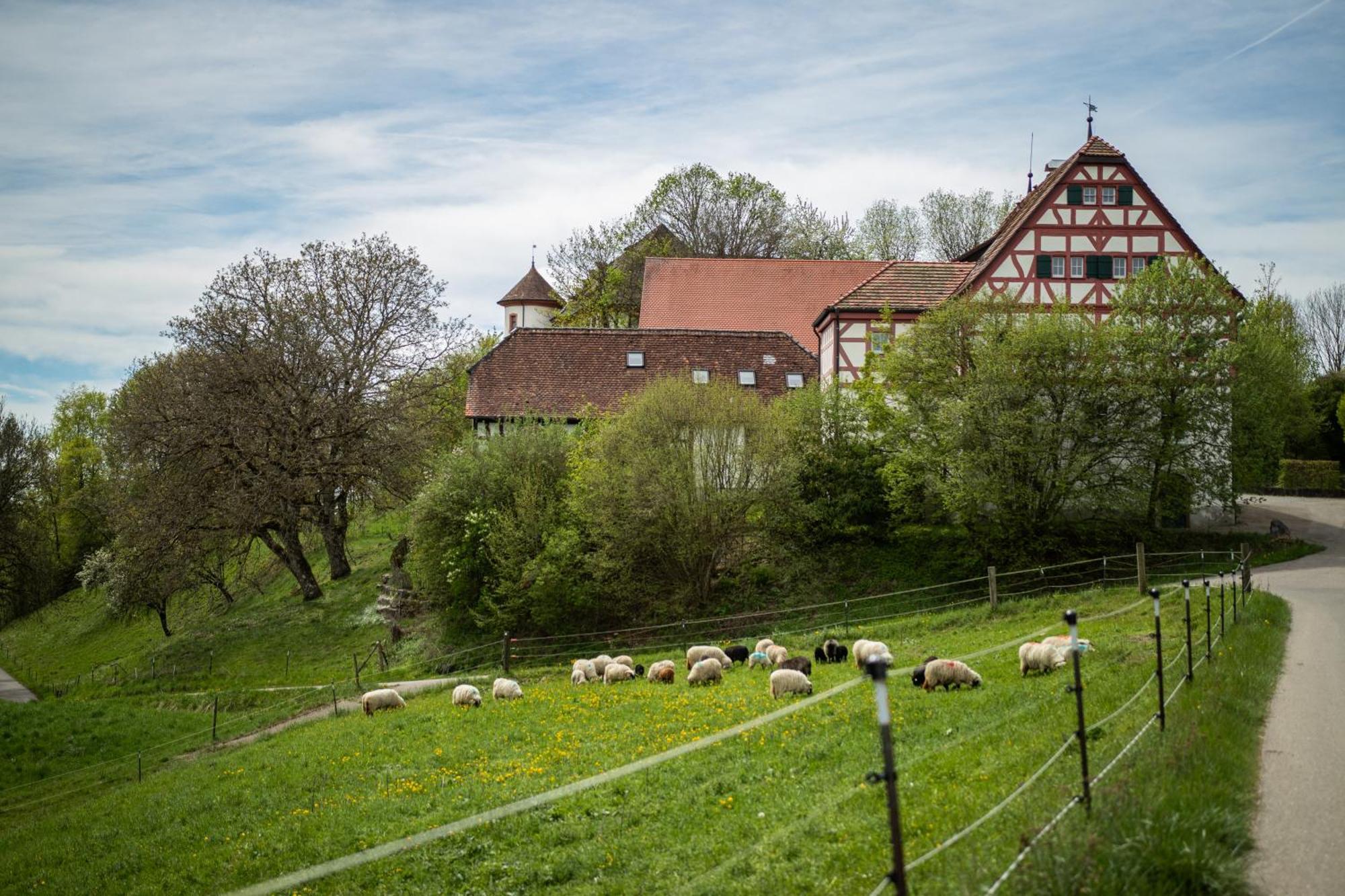 & Tagungszentrum Schloss Hohenfels * Hohenfels (Baden-Wurttemberg)